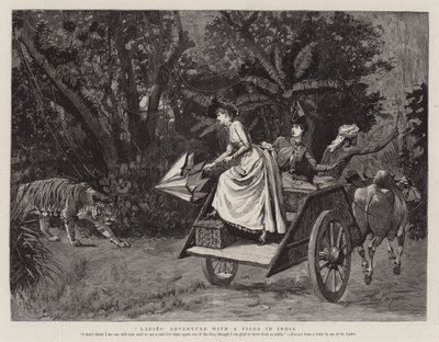 Avontuur van Dames met een Tijger in India door Percy Macquoid